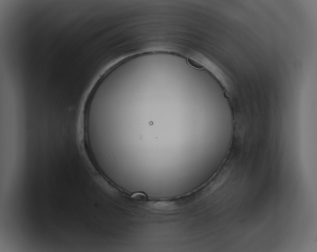 X0000101101140200807101442