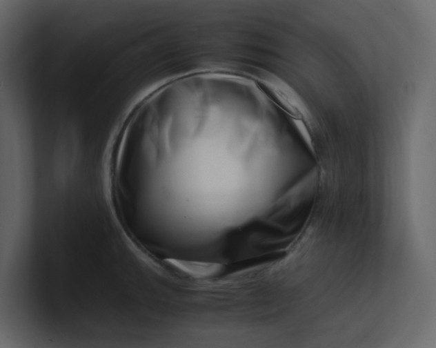 X0000101101143200807101442