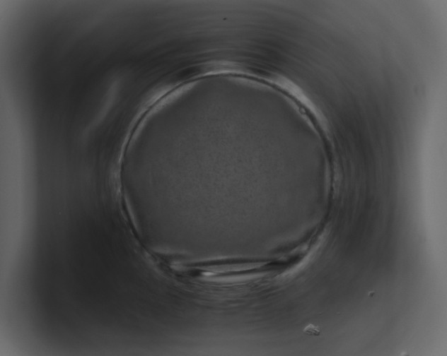 X0000101101145200807101442