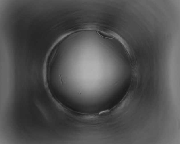 X0000101101147200807101442