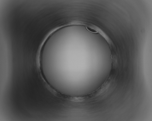 X0000101101148200807101442