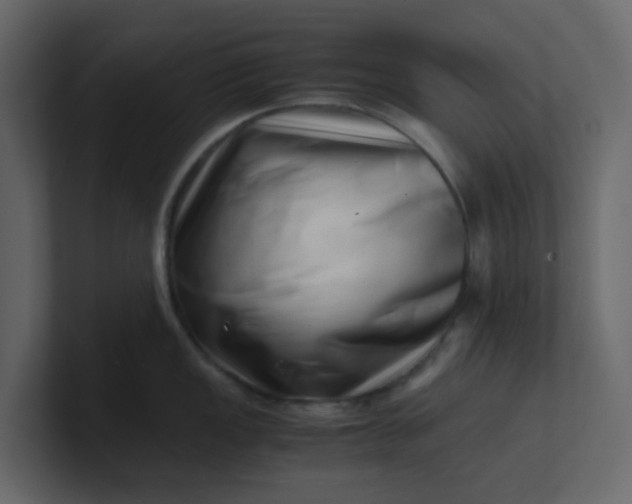 X0000101101149200807101442