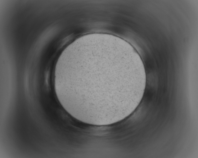 X0000101101150200807101442
