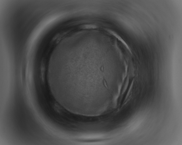 X0000101101151200807101442