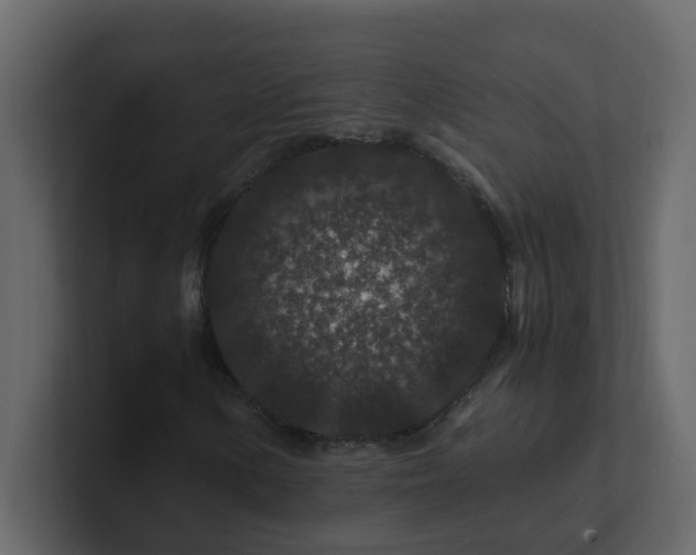 X0000101101154200807101441