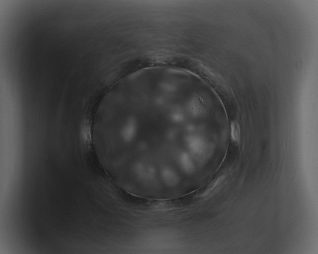 X0000101101155200807101441