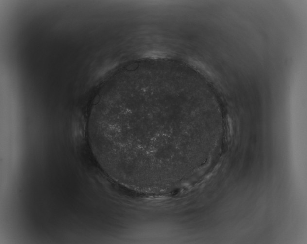 X0000101101158200807101441