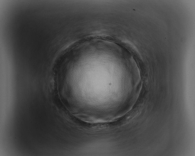 X0000101101159200807101441