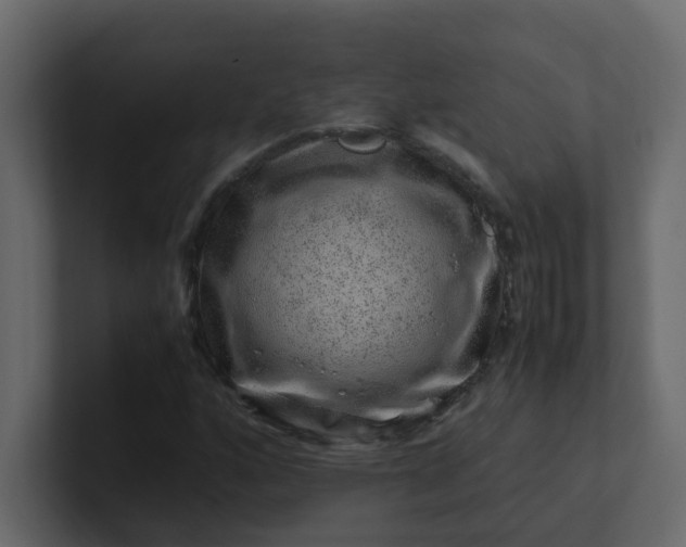 X0000101101160200807101441