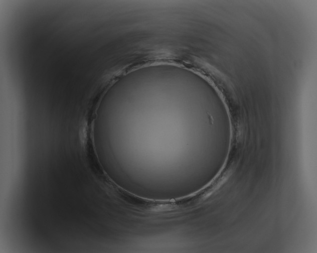 X0000101101161200807101441