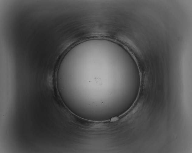 X0000101101162200807101441