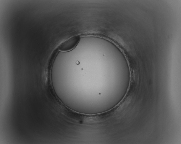 X0000101101165200807101441