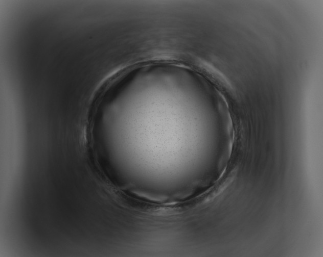 X0000101101166200807101441