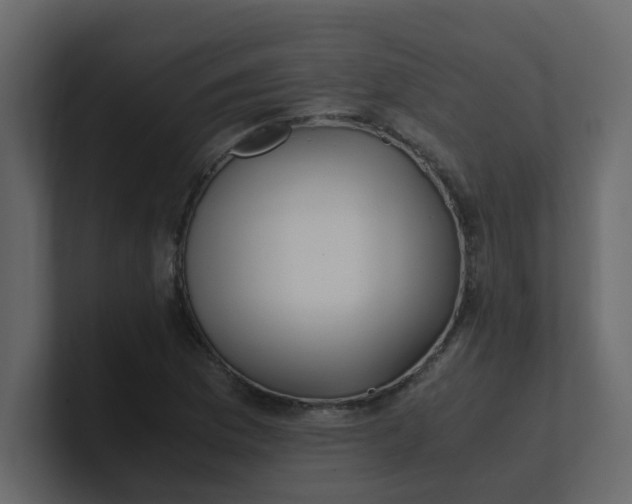 X0000101101169200807101441