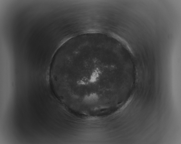 X0000101101170200807101441