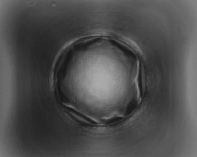X0000101101172200807101441