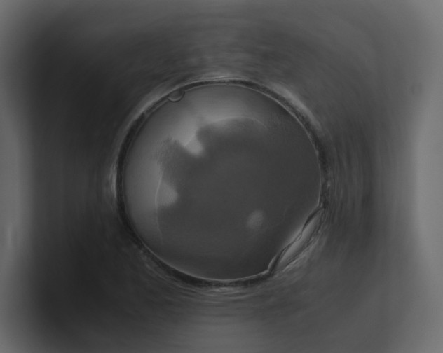 X0000101101173200807101441