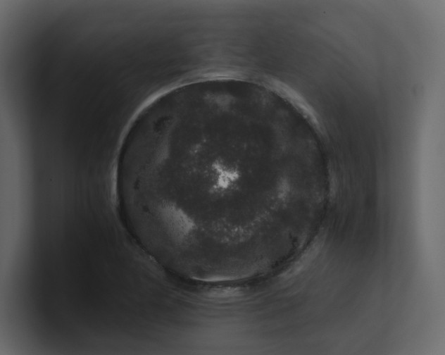 X0000101101174200807101441