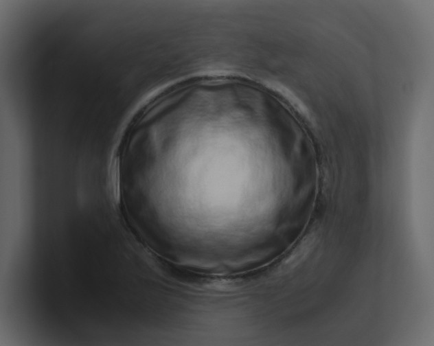 X0000101101175200807101441