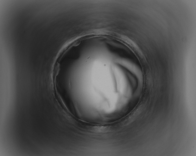 X0000101101176200807101441