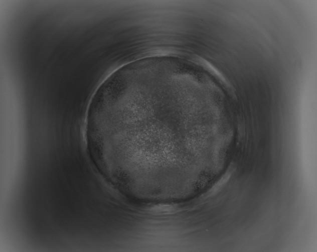 X0000101101178200807101441