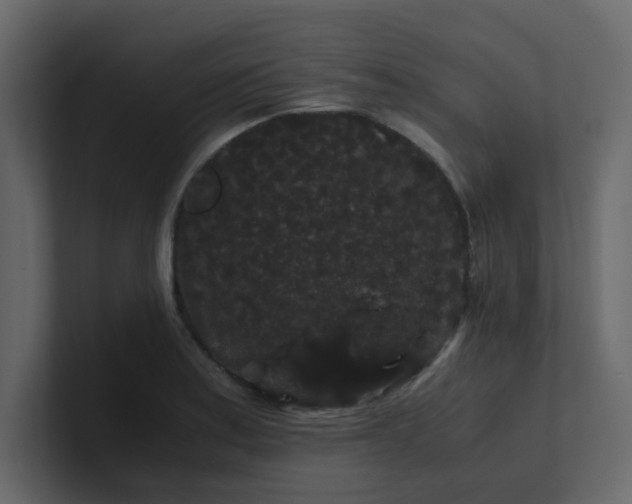 X0000101101179200807101441