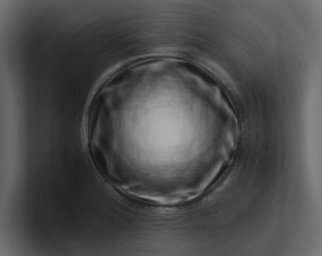 X0000101101180200807101441