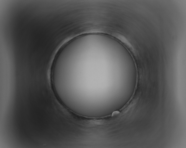 X0000101101181200807101441