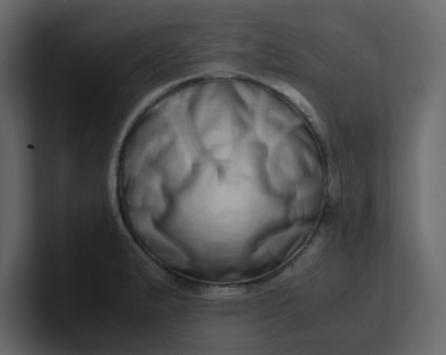 X0000101101183200807101441