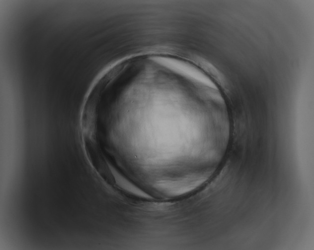 X0000101101184200807101441