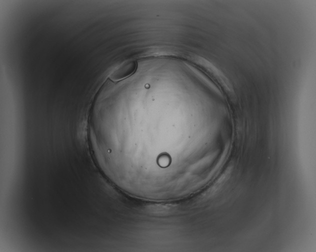 X0000101101185200807101441