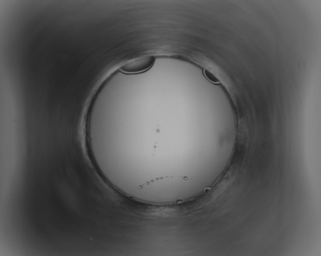 X0000101101187200807101441