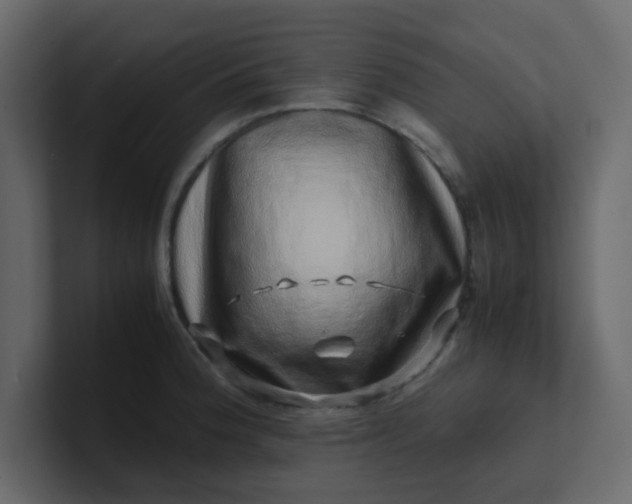 X0000101101188200807101441