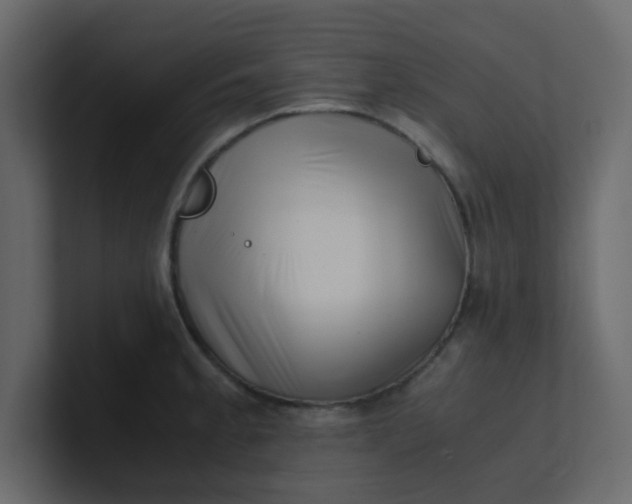 X0000101101189200807101441
