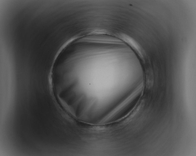 X0000101101190200807101441