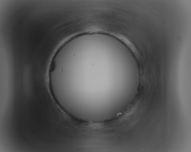 X0000101101191200807101441