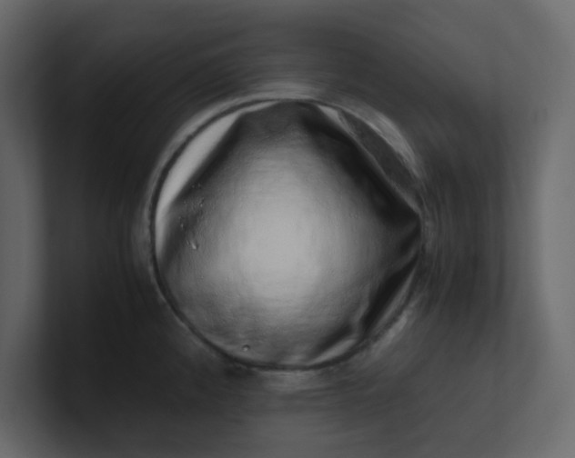 X0000101101192200807101441