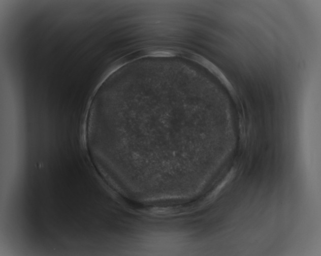X0000101101194200807101441