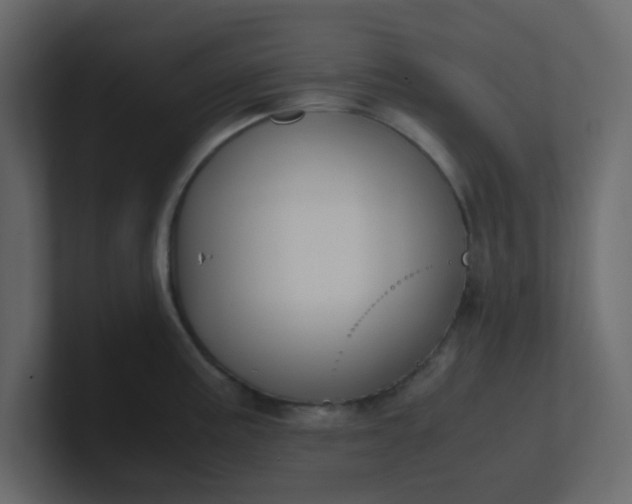 X0000101101195200807101441