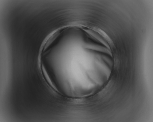 X0000101101196200807101441