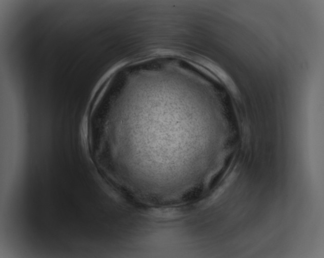 X0000101101198200807101441