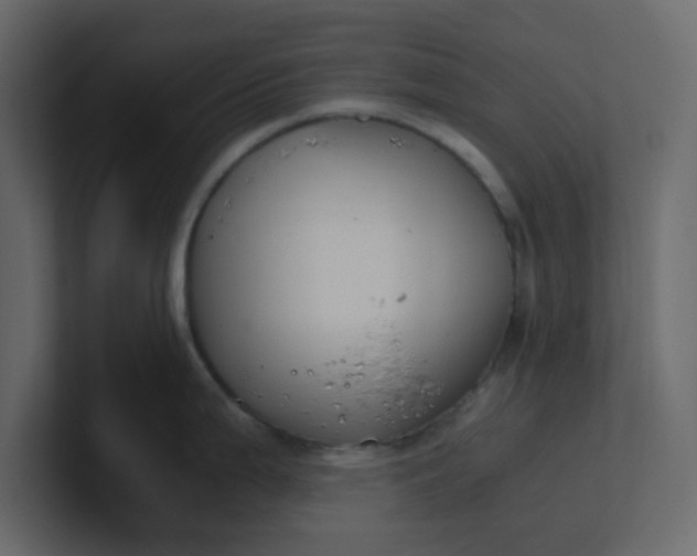 X0000101101199200807101441