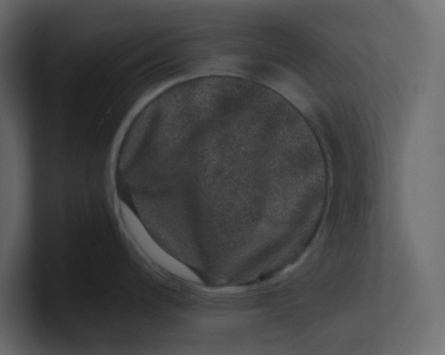 X0000101101200200807101441
