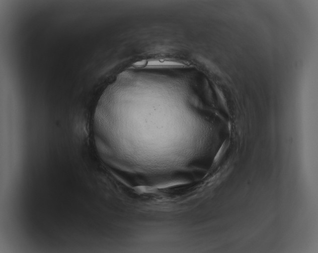 X0000101101206200807101440
