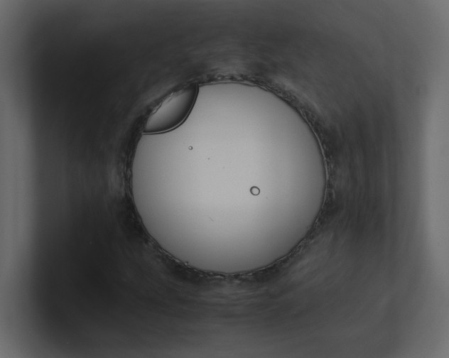 X0000101101207200807101440