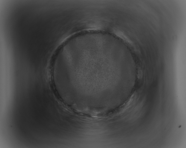 X0000101101208200807101440