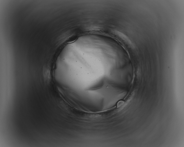 X0000101101209200807101440