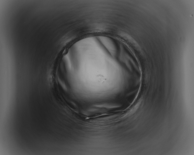 X0000101101210200807101440