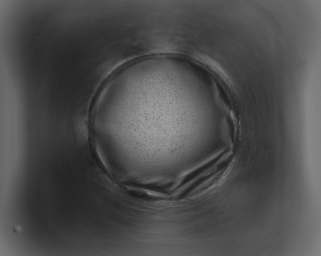 X0000101101212200807101440
