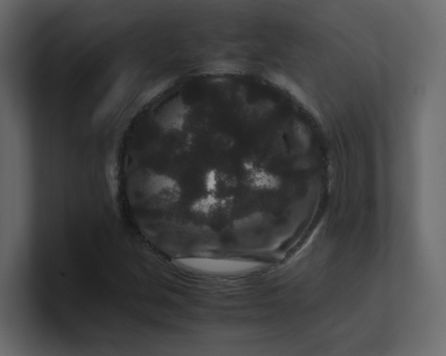 X0000101101213200807101440